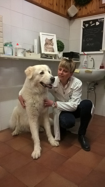 Una donna è inginocchiata accanto a un cane in una stanza.