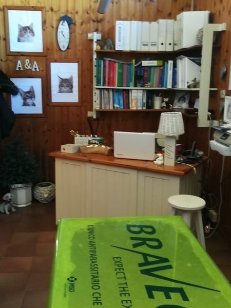 Un tavolo verde con la parola coraggioso sopra