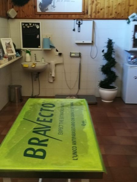 Un tavolo verde con la parola bravecto sopra