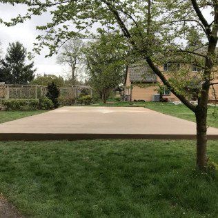 A concrete driveway in a backyard with a tree in the foreground and a house in the background.