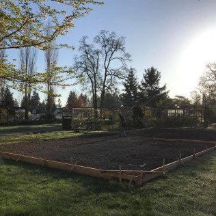A man is standing in the middle of a lush green field.