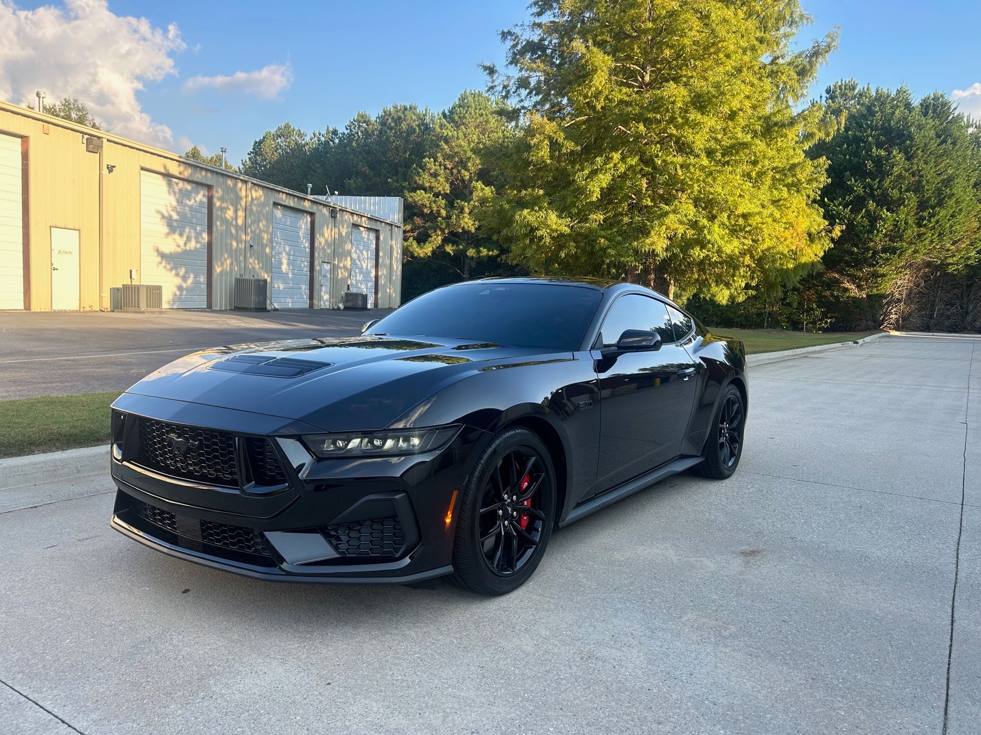A black mustang is parked in a parking lot in front of a building.
