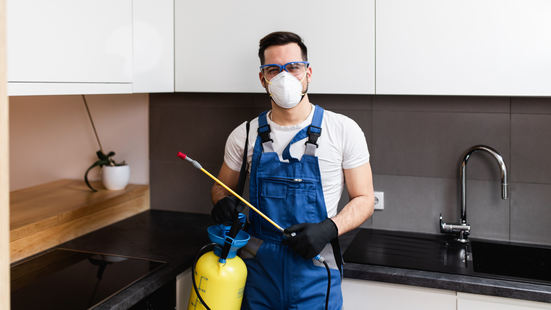 pest control software for small business
