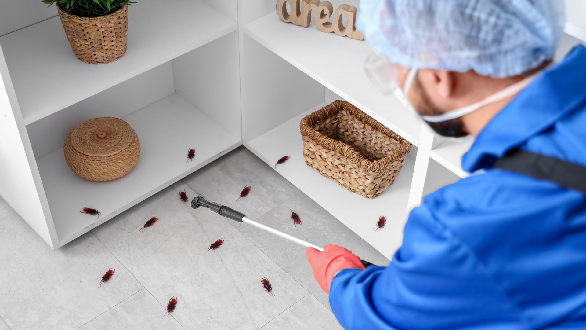 Pest Control Software for Growing Businesses