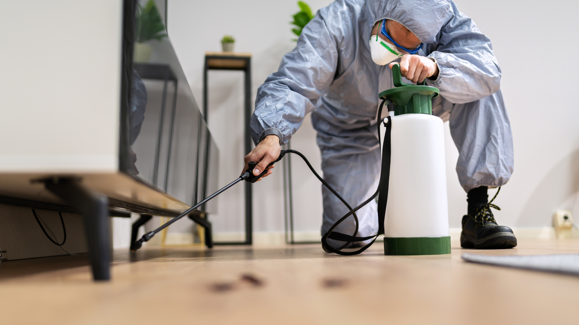 pest control software
