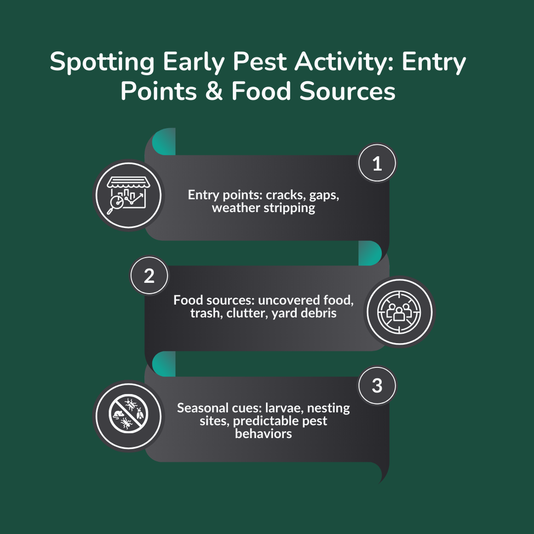 Spotting Early Pest Activity: Entry Points & Food Sources