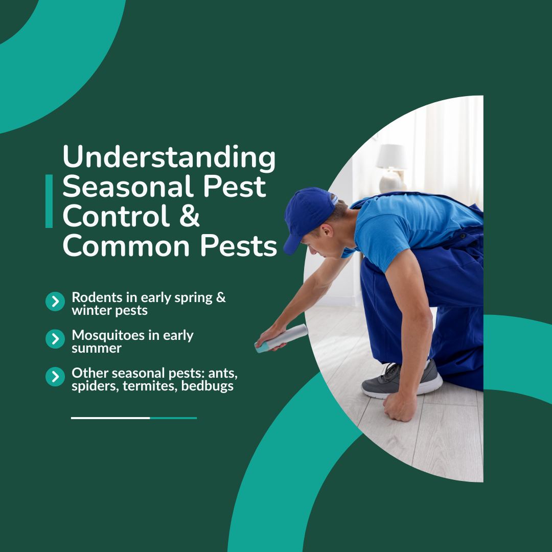 Understanding Seasonal Pest Control & Common Pests