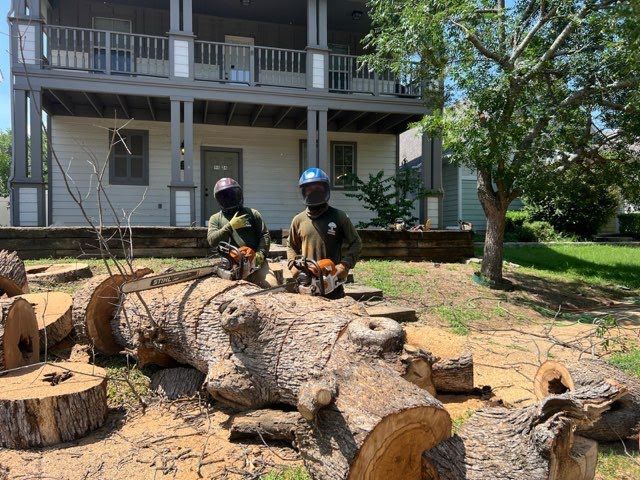 Two men are cutting a large log in front of a house.