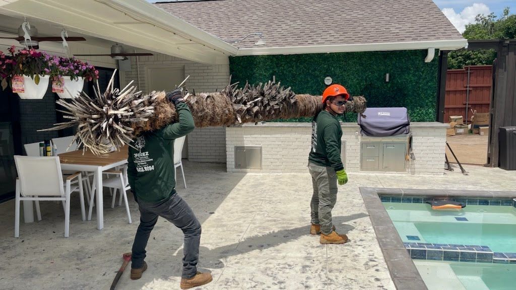 Two men are carrying a large tree branch in front of a pool.