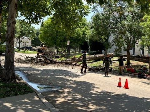A group of people are walking down a street next to a pile of trees.