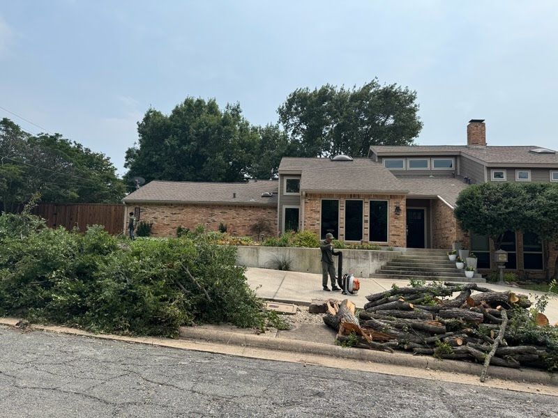 A large house with a lot of trees in front of it