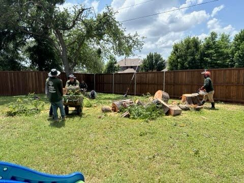 A group of people are working in a backyard.