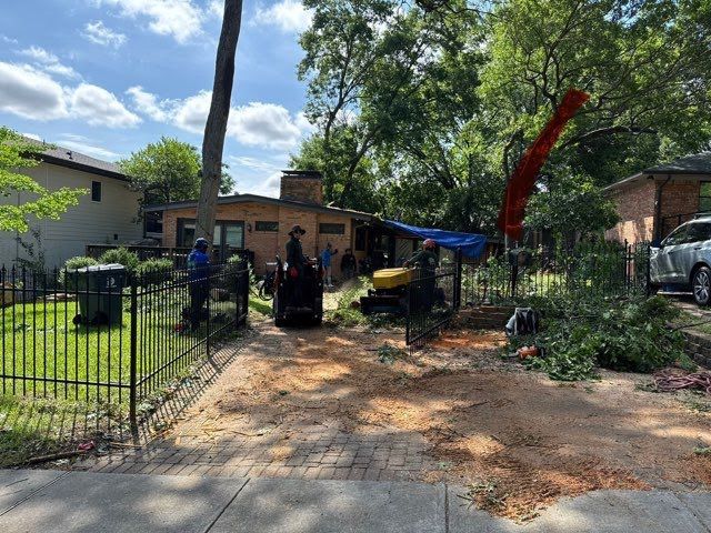 A group of people are working on a tree in front of a house.