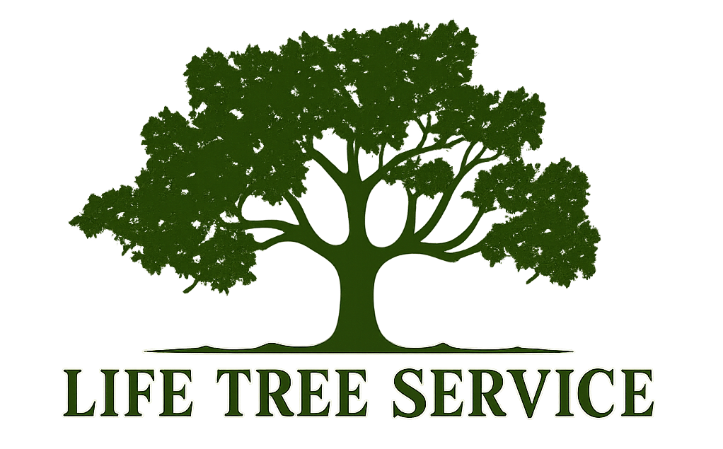 A logo for birmingham tree service with a tree on it