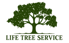 A logo for birmingham tree service with a tree on it