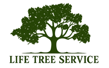 A logo for birmingham tree service with a tree on it