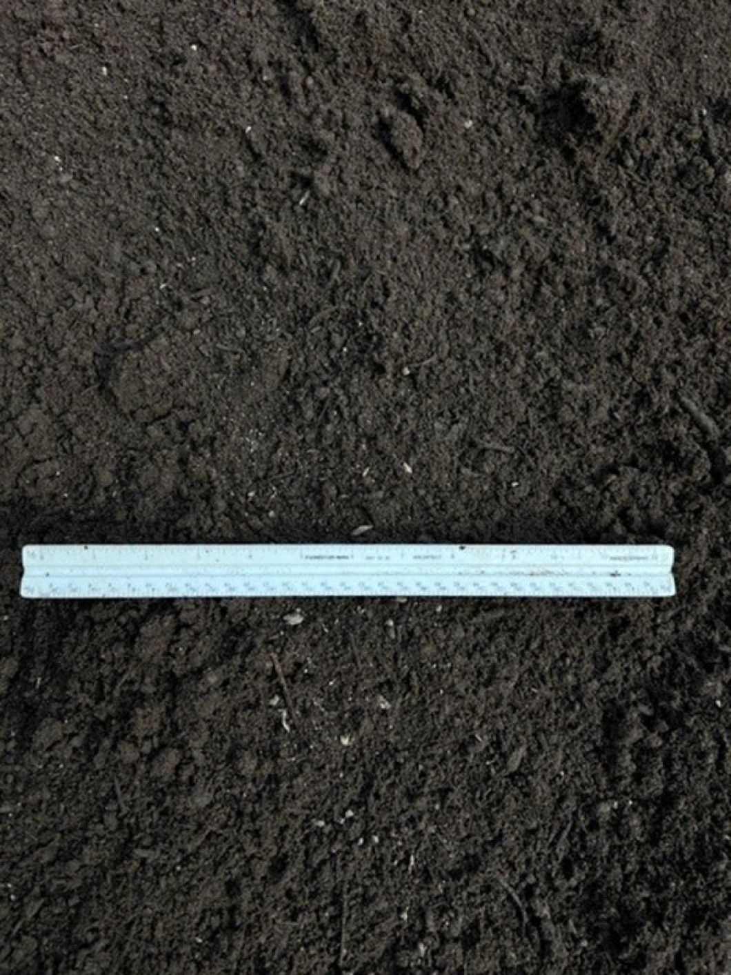 Garden Soil