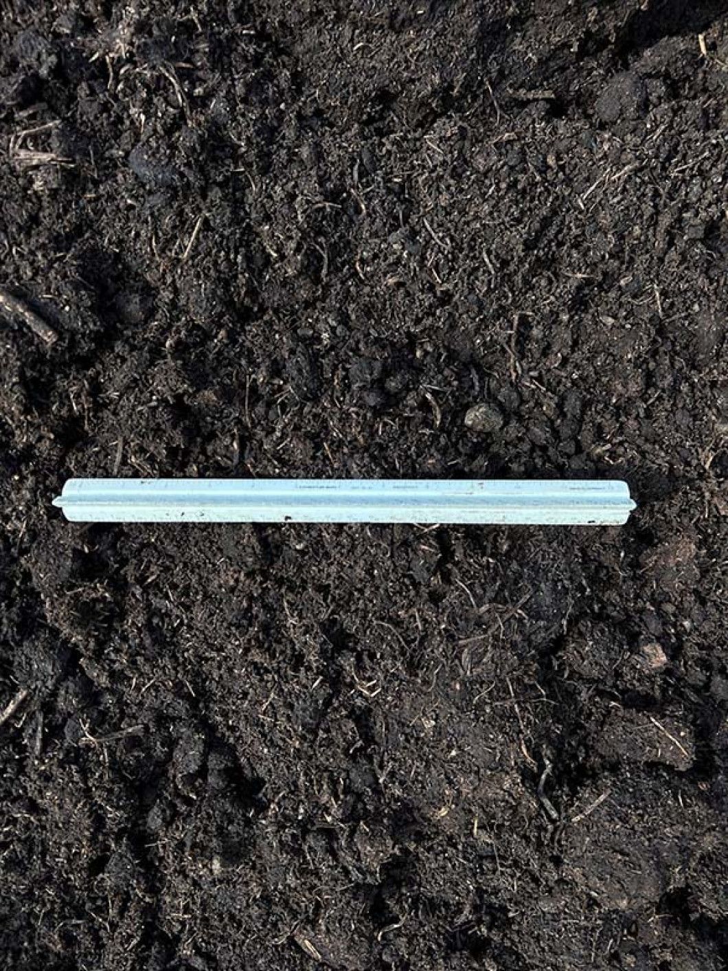 Mushroom Dirt