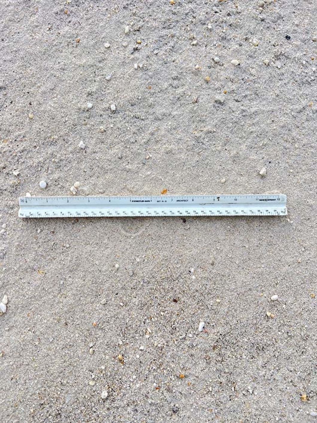 White Beach Sand