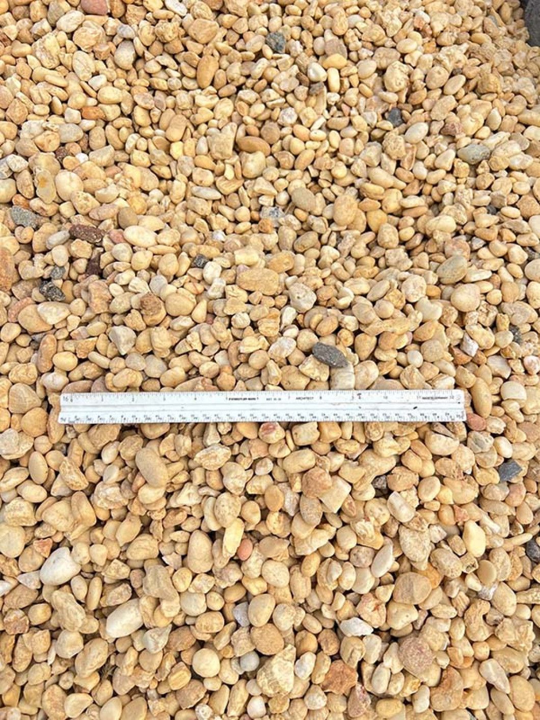 Yellow Ocean Gravel 3/4