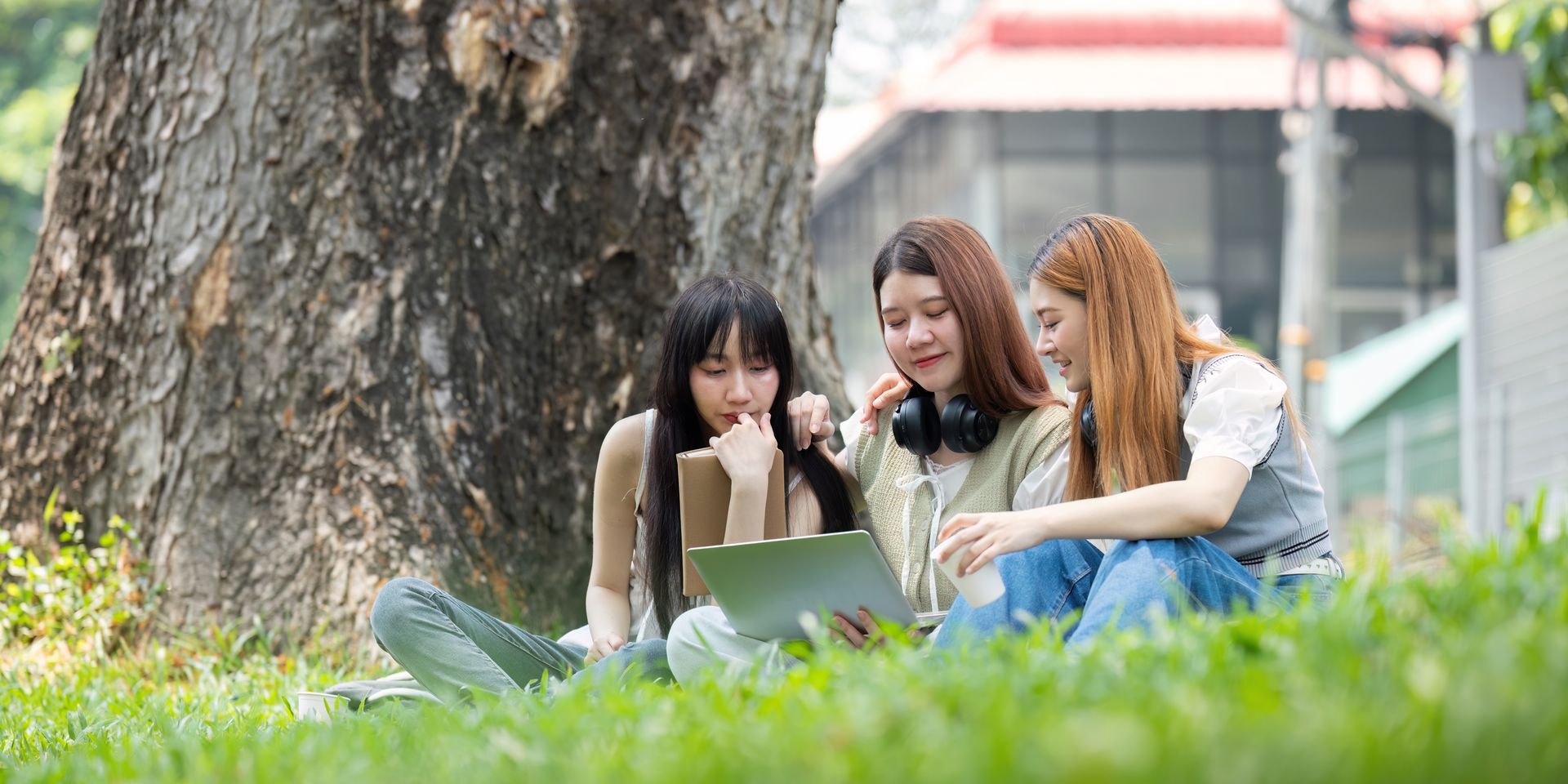 Three young women are sitting under a tree looking at a laptop.