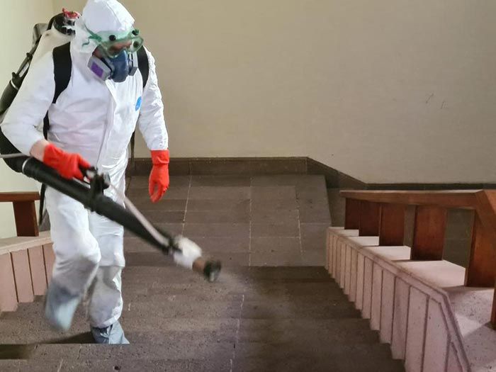 GRUPO ZARGO FUMIGACIONES