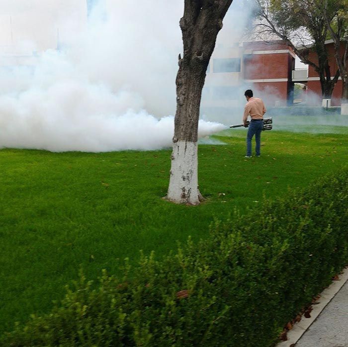 GRUPO ZARGO FUMIGACIONES