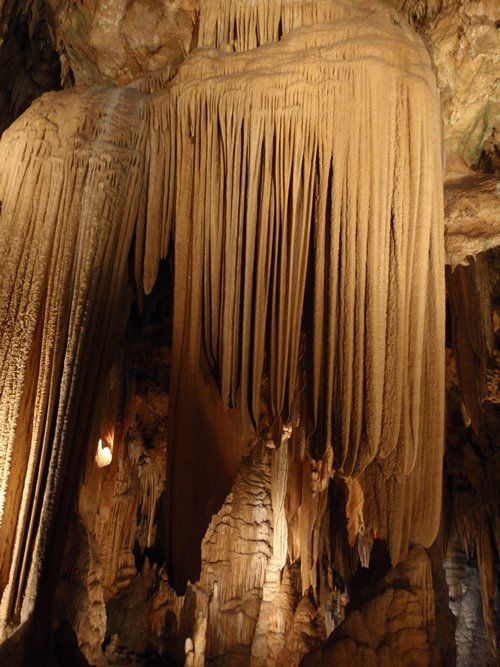 wild cave tour mammoth cave 2022