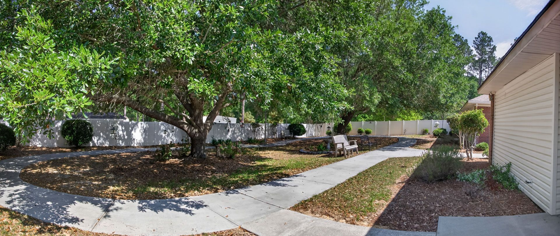 Shaded sidewalk beside white houses and a large leafy tree in a sunny residential courtyard