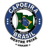 Capoeira Brasil Townsville | Martial Art Classes | Dance School