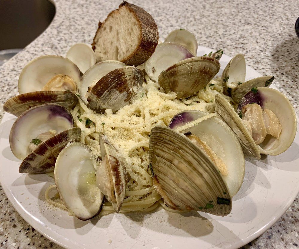 A white plate topped with spaghetti and clams on a counter.
