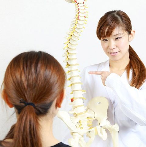 Chiropractor Using a Plastic Model Of Spine — Impulse Machine