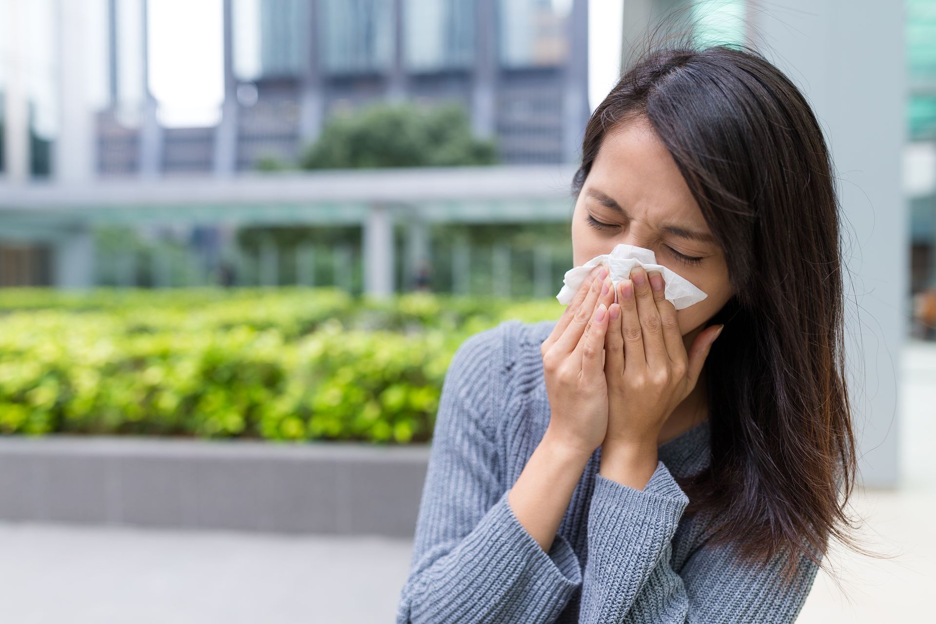 All You Need To Know About Texas’s Allergy Season