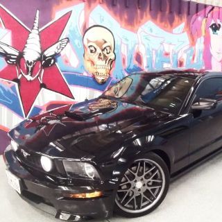 Gallery item | Dragonfly Automotive