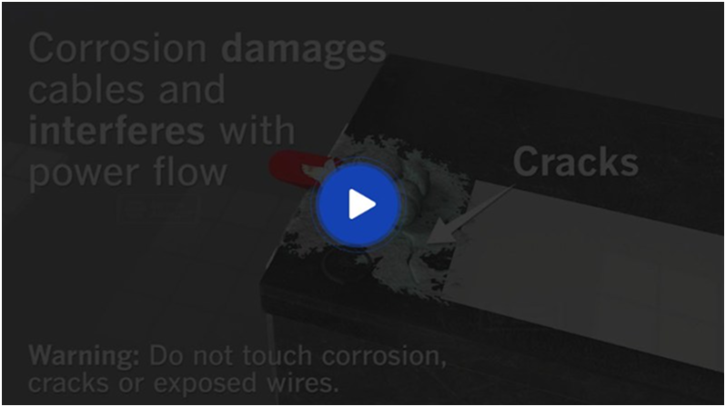 Video Placeholder | Dragonfly Automotive