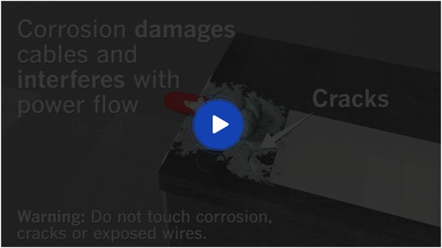 Video Placeholder | Dragonfly Automotive