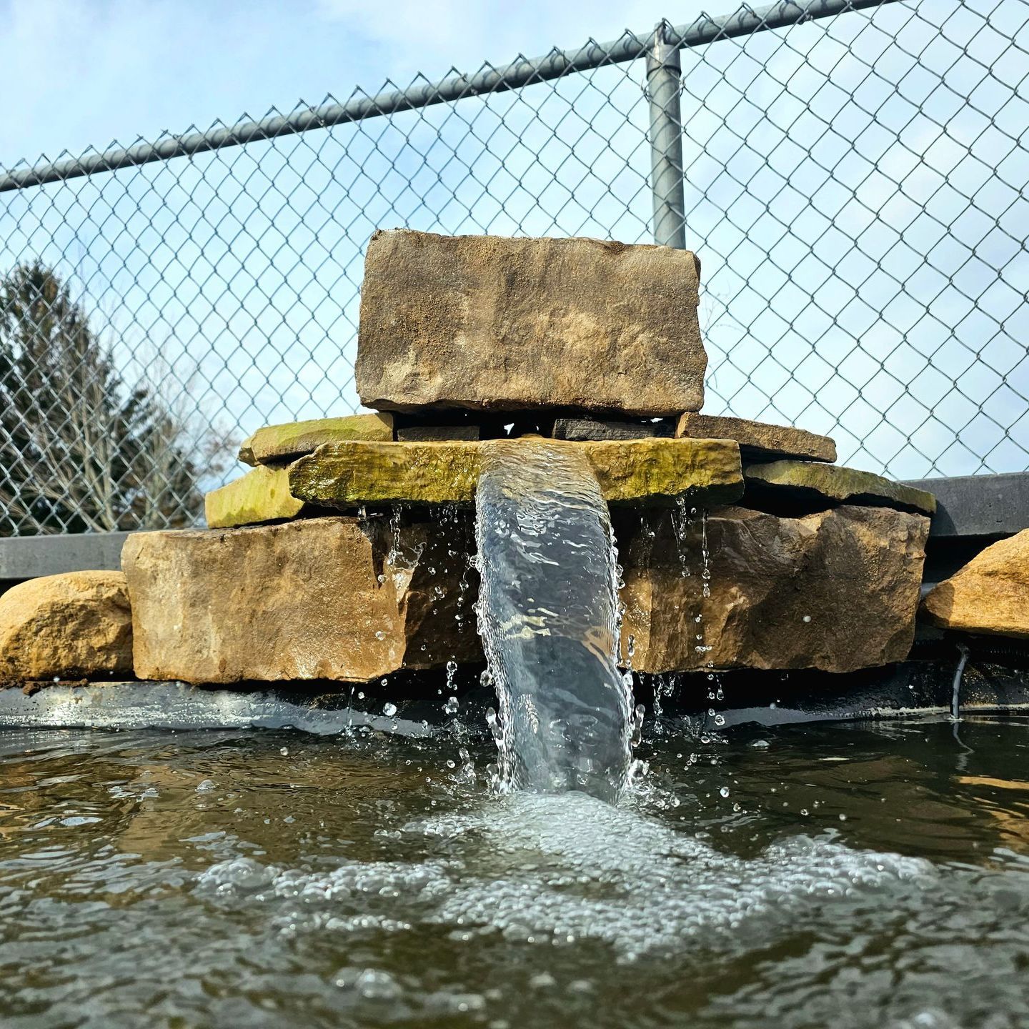 a small waterfall is behind a chain link fence