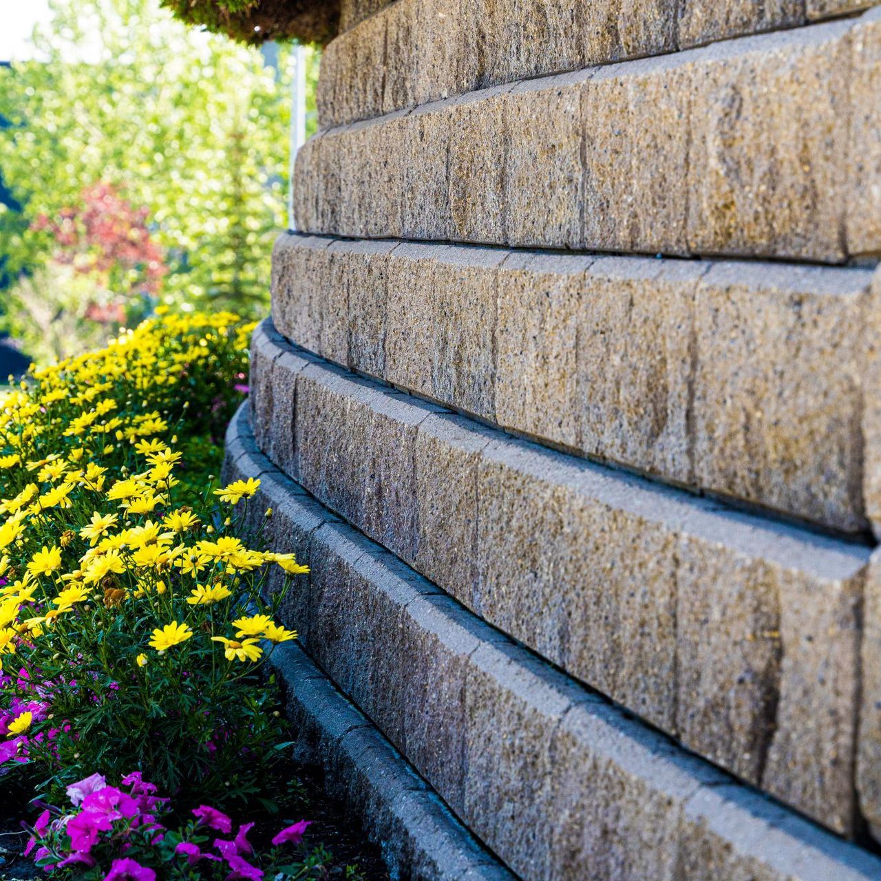 a close up of a stone wall with flowers in the background .