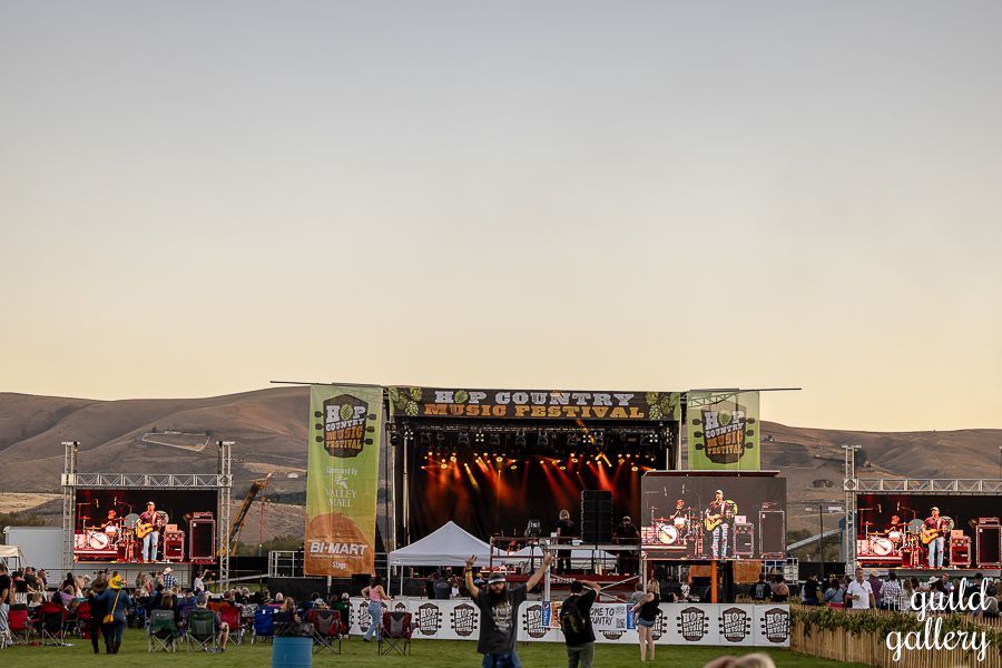 A group of people are standing in front of a stage at a concert.