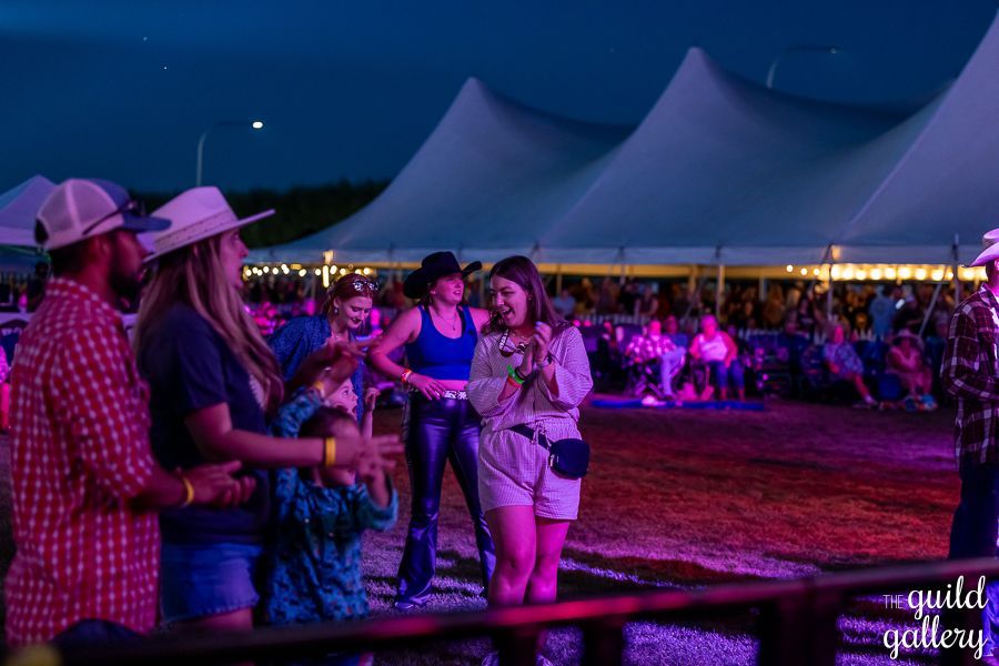 A group of people are standing in front of a stage at a concert.
