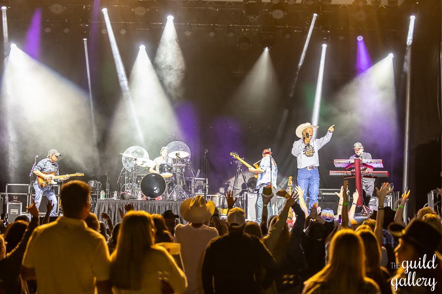 A group of people are standing in front of a stage at a concert.