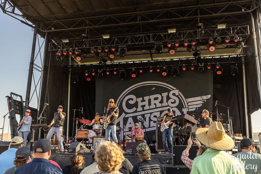 A group of people are watching chris hansen perform on stage