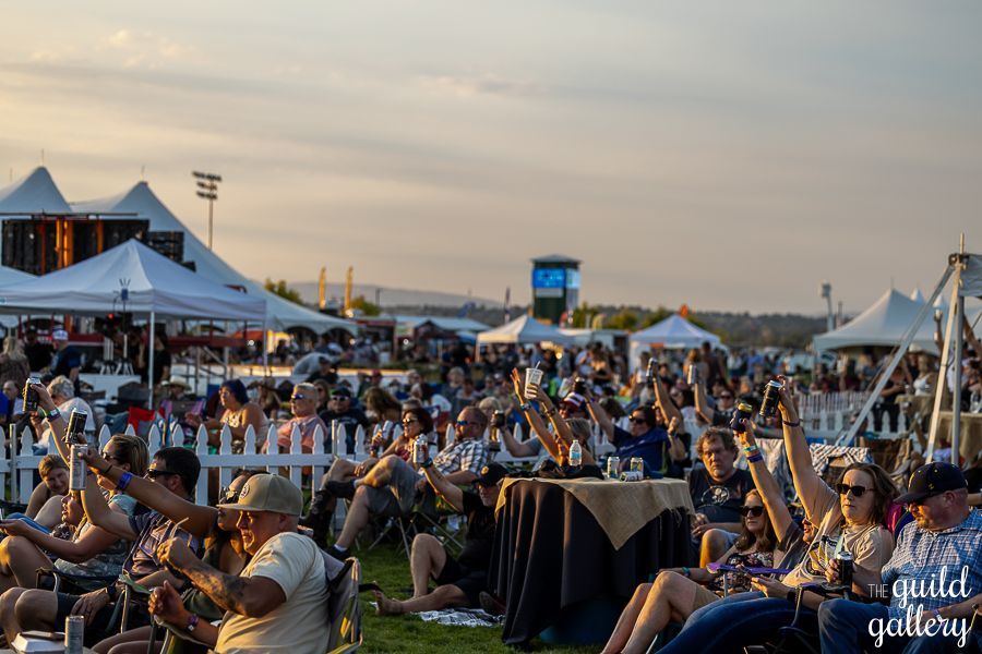 A large group of people are sitting in a field at a concert.