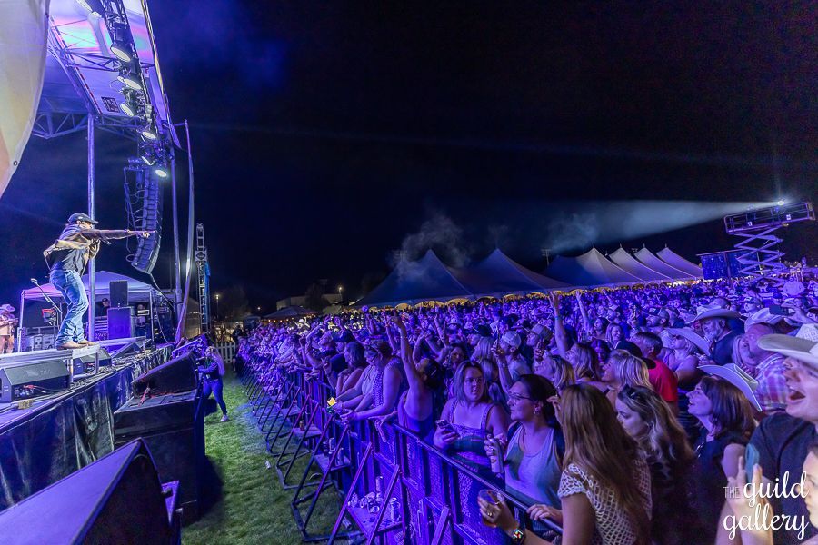 A crowd of people are watching a concert at night.