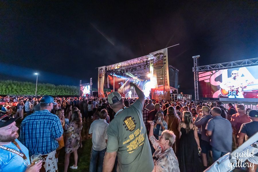 A crowd of people are standing in front of a stage at a concert.