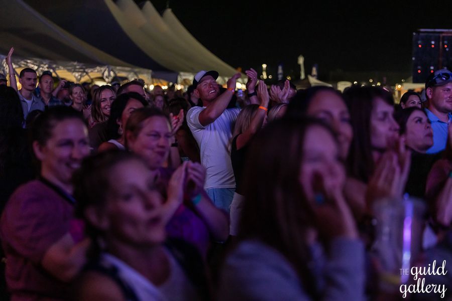 A crowd of people are dancing at a concert and the word gallery is on the bottom of the photo
