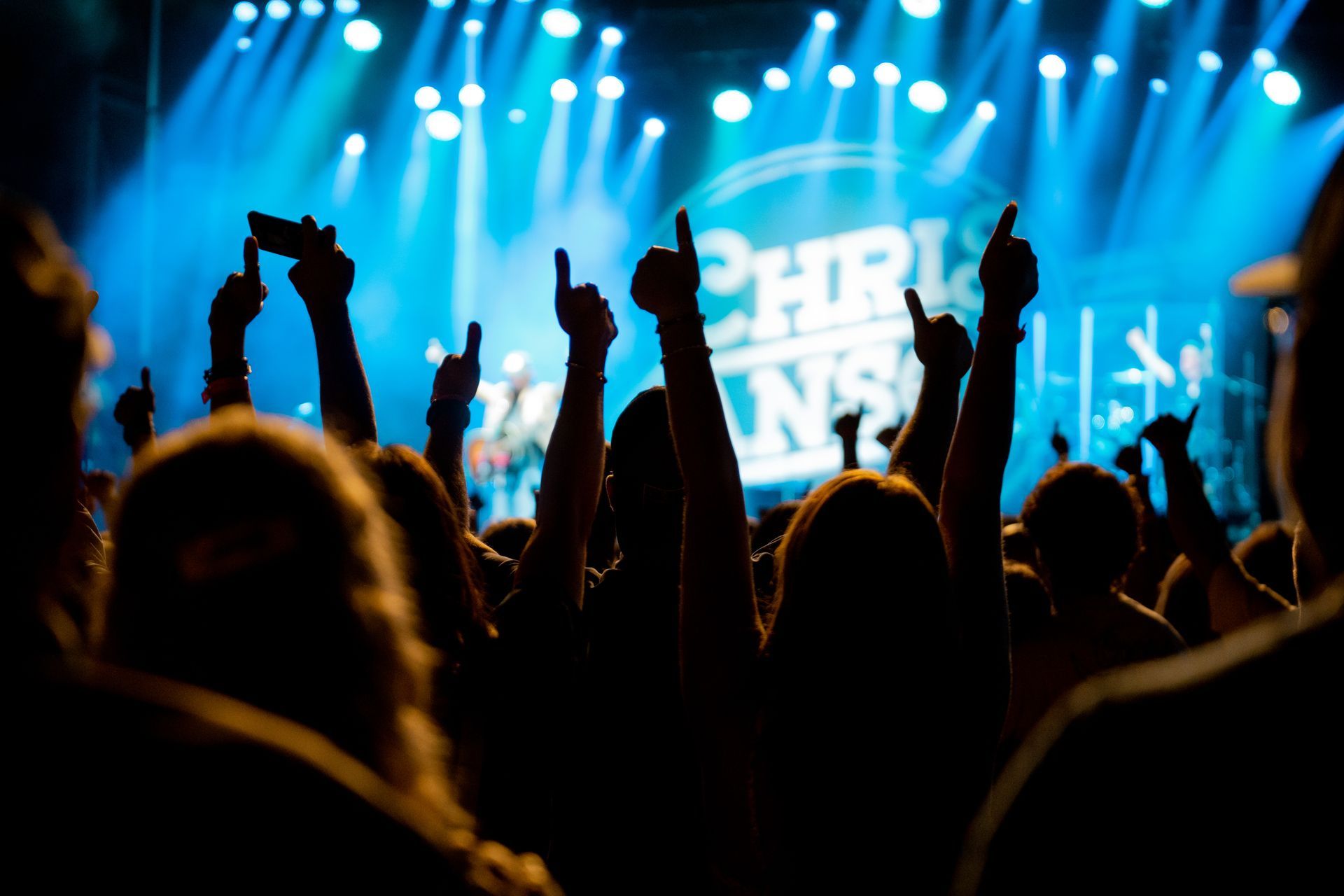 A crowd of people at a concert with their hands in the air.