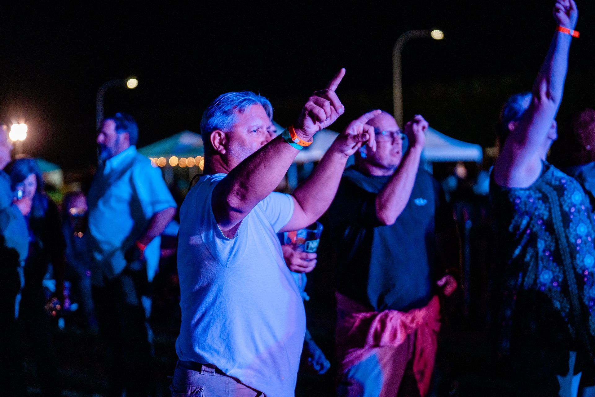 A group of people are dancing at a concert at night.