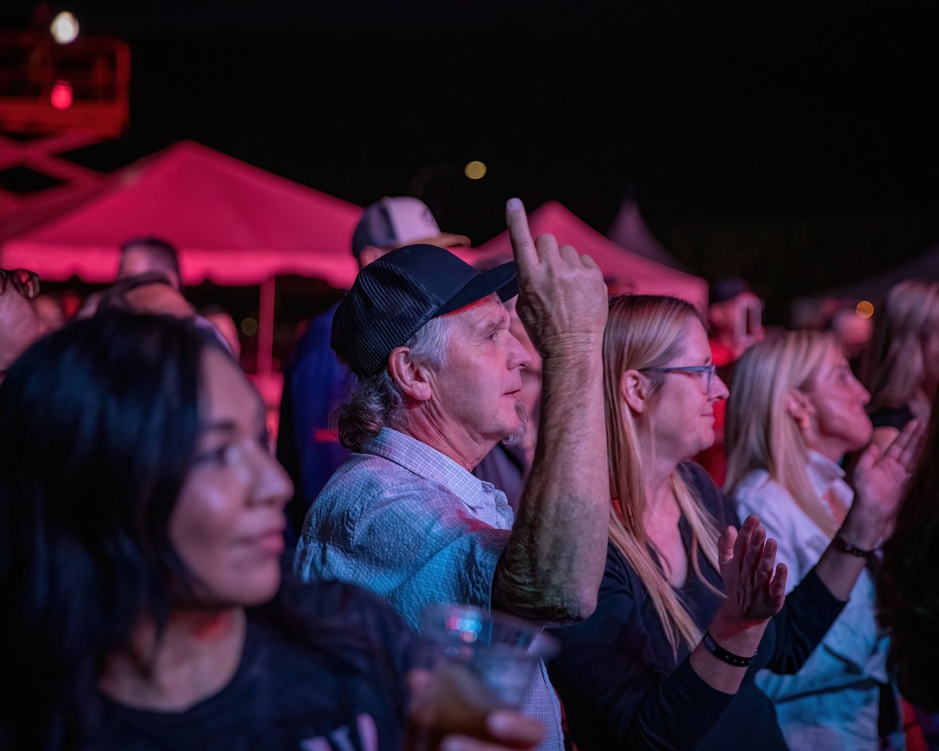 A group of people are sitting in a crowd at a concert.