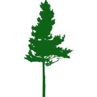 Tree Service Abbotsford | Tree Removal Abbotsford | Tree Trimming Abbotsford | Tree Pruning Abbotsford | Abbotsford Tree Specialists Logo